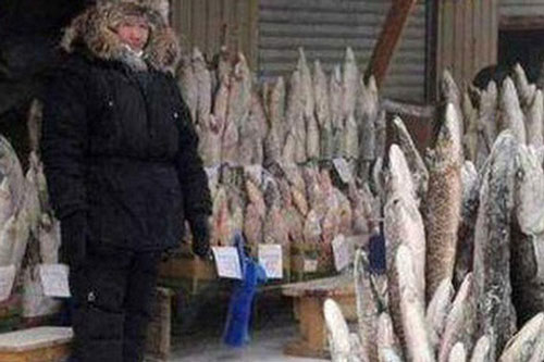 Thành phố lạnh lẽo nhất thế giới: Âm 64 độ, ngoài chợ chỉ bán 1 loại thực phẩm duy nhất