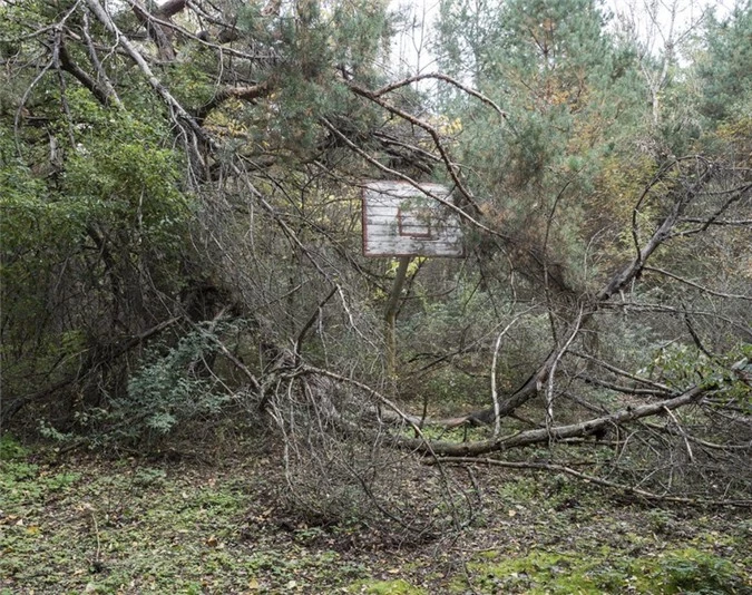 vẻ đẹp ám ảnh bên trong "vùng đất ma" chernobyl hình 12 ve dep am anh ben trong "vung dat ma" chernobyl hinh 12