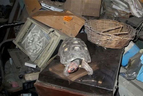 Đau khổ vì mất cha, những đứa con quyết định dọn dẹp nhà kho cũ rồi bất ngờ tìm thấy 'người bạn' mất tích từ năm 1982