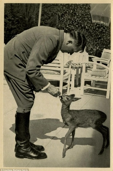 Một trong những bức hình của Hitler mà Harris tìm thấy. (Ảnh: