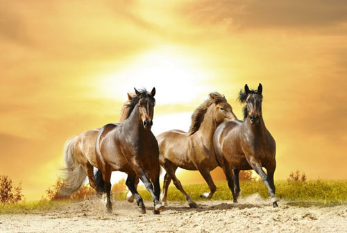 Nửa đầu năm 2020, những con giáp này được Thần Phật 'độ', tài lộc bùng phát, giàu lên chóng mặt