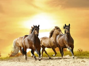 Nửa đầu năm 2020, những con giáp này được Thần Phật 'độ', tài lộc bùng phát, giàu lên chóng mặt