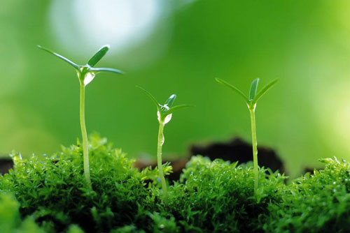 11 lu&#x1EAD;t nh&#xE2;n qu&#x1EA3; kh&#xF4;ng ch&#x1EEB;a m&#x1ED9;t ai, s&#x1EBD; &#x111;&#x1EBF;n ngay tr&#x1B0;&#x1EDB;c m&#x1EAF;t