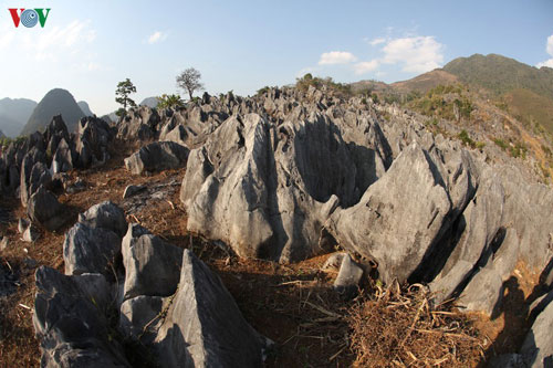 Khám phá vẻ đẹp kỳ thú của cao nguyên đá Tủa Chùa, Điện Biên