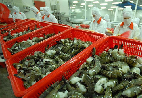 Thuế xuất khẩu tôm sang EU sẽ giảm mạnh