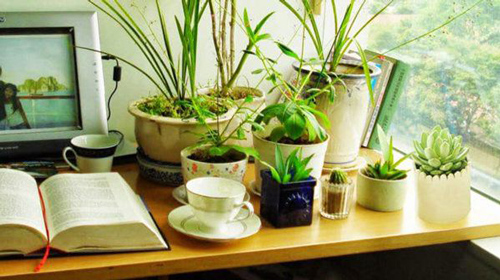 Đặt bàn làm việc kiểu này tài lộc thất thoát dễ gặp họa thị phi, gia chủ cần điều chỉnh ngay lập tức