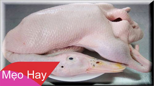 Bí quyết nhổ lông vịt siêu sạch, thịt không còn mùi hôi lại thơm ngon, không phải chị em nào cũng biết