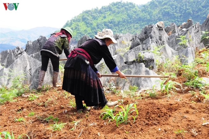 kham pha ve dep ky thu cua cao nguyen da tua chua, dien bien hinh 10