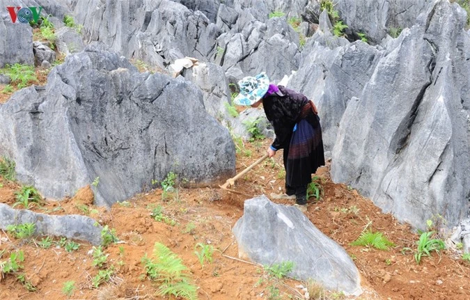 kham pha ve dep ky thu cua cao nguyen da tua chua, dien bien hinh 11