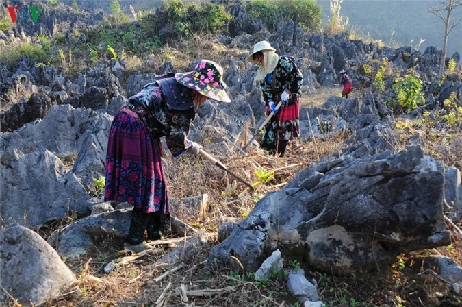 kham pha ve dep ky thu cua cao nguyen da tua chua, dien bien hinh 3