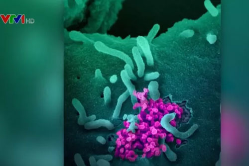 Mỹ thử nghiệm thuốc điều trị COVID-19 trên người