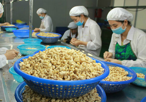 Không để mất đà công nghiệp chế biến