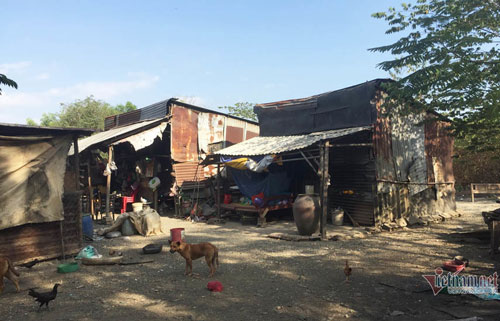 Cảnh sống không điện, nước ở xóm nghèo giữa làng đại học