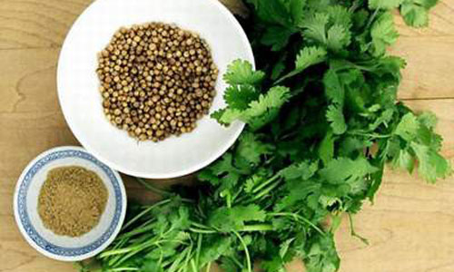 Cực tốt và cực độc, biết mà tránh khi ăn rau mùi kẻo rước ung thư vào người