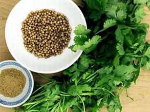 Cực tốt và cực độc, biết mà tránh khi ăn rau mùi kẻo rước ung thư vào người