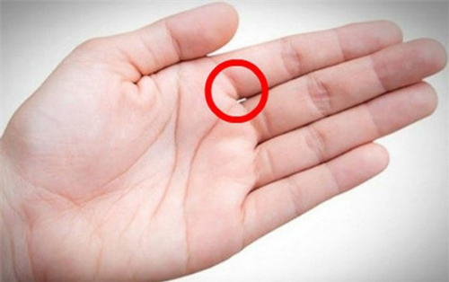 Nhìn vào kẽ hở trên bàn tay, biết ngay vận mệnh của một người, nghèo khó hay phát tài đều hiện rõ