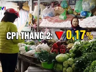 CPI tháng 2 giảm nhẹ so với tháng trước