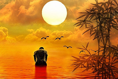 Bạn có chắc mắt mình không ướt sau khi đọc xong câu chuyện này?