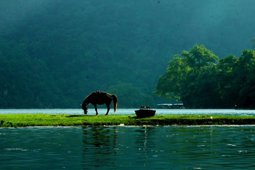 Hiểu được 8 chữ này sẽ giúp bạn có được cuộc sống 'giàu sang sung túc, vinh hiển suốt đời'