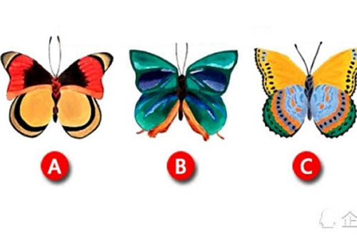 Trắc Nghiệm: Nhiệm vụ tối mật của bạn khi đến Trái đất này là gì?