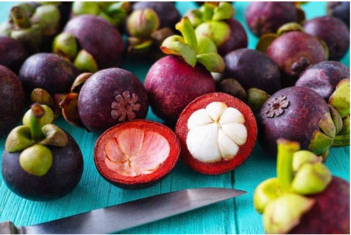 T&#xE1;c d&#x1EE5;ng &#x27;th&#x1EA7;n k&#xEC;&#x27; c&#x1EE7;a qu&#x1EA3; m&#x103;ng c&#x1EE5;t v&#x1EDB;i s&#x1EE9;c kh&#x1ECF;e