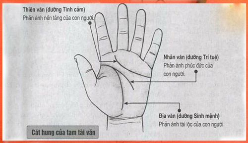 5 điểm cực hiếm trên bàn tay là “thần Tài hộ mệnh”, báo hiệu người khổ trước sướng sau, vãn niên giàu có