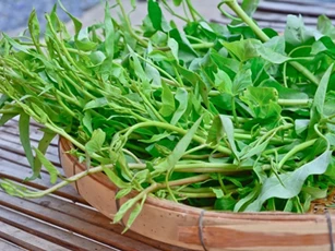Sai lầm khi ăn rau muống mà rất nhiều người Việt vẫn mắc phải hằng ngày