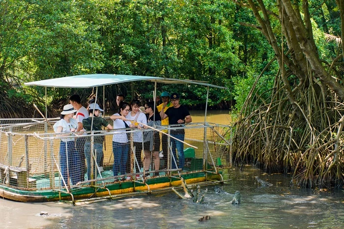 Hòa mình vào thiên nhiên bằng những trải nghiệm đặc biệt ở Vàm Sát - Cần Giờ