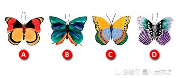 Bạn chọn con bướm nào?