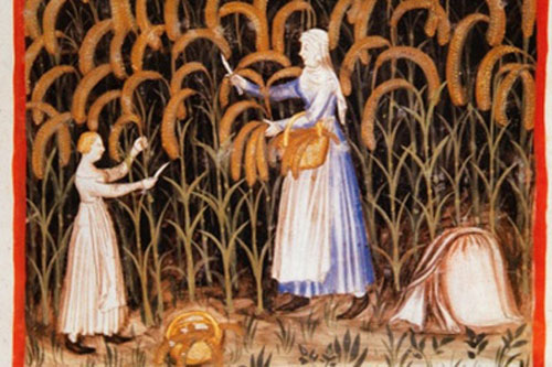 'Vén bức màn' đời sống thời Trung Cổ