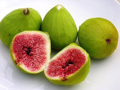 6 lợi ích tuyệt vời của quả sung với sức khỏe con người