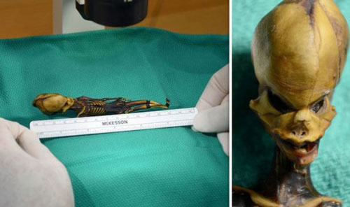 Bí ẩn xác ướp người ngoài hành tinh đã được làm sáng tỏ