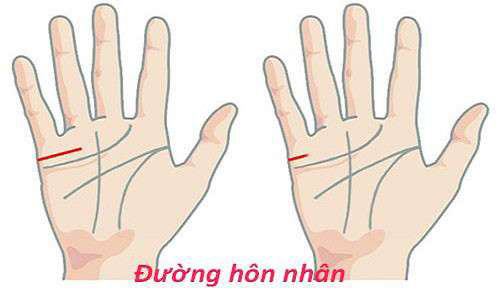 3 tướng bàn tay nói lên số phận của phụ nữ vất vả đường con cái, cô quạnh khi về già