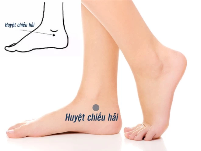 huyetchieuhai