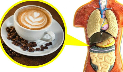 Khung giờ "độc" chớ dại mà uống cà phê kẻo "mua bệnh" vào người, gây hại khủng khiếp