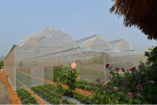 Sơn La: Thu tiền tỷ từ nông nghiệp xanh kết hợp du lịch sinh thái