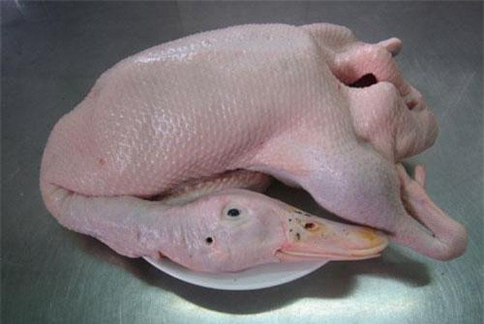 Cách chọn vịt ngon không tiêm nước, không ốm bệnh, chị em nên biết