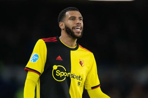 Tiền vệ trung tâm: Etienne Capoue (Watford).