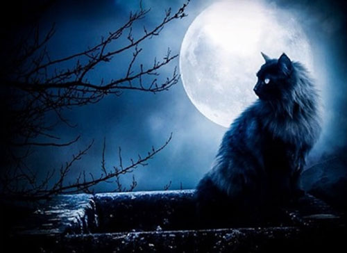 C&#xE1;c truy&#x1EC1;n thuy&#x1EBF;t k&#x1EF3; qu&#xE1;i v&#x1EC1; m&#xE8;o &#x111;en