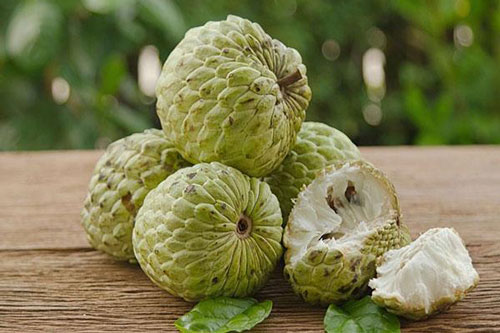 Cách chọn na ngon ngọt, dày cùi ít hạt, bà nội trợ nhất định phải biết