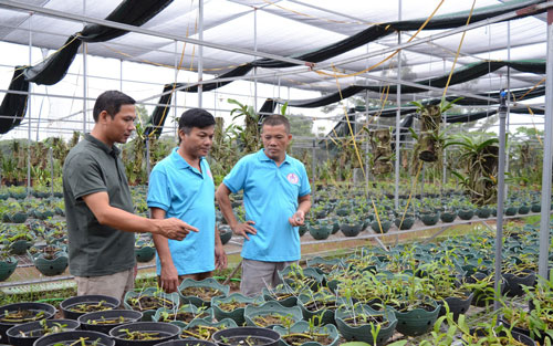 Hà Nội: Làm giàu từ nghề trồng lan rừng