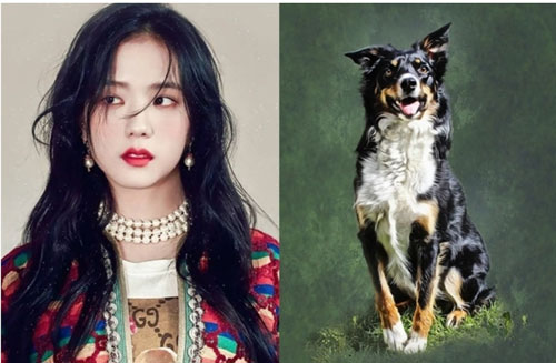 Những con giáp đen đủ đường, đụng đâu hỏng đó trong 45 ngày tới