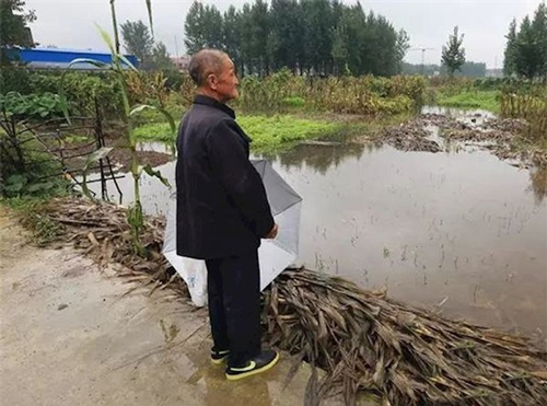 Con trai qua đời, cha già nuốt nước mắt để nuôi cháu, nào ngờ 14 năm sau phát hiện ra sự thật đau lòng