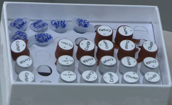 Bộ KIT chẩn đoán virus Sars-CoV2 made in Vietnam. Bộ KIT chẩn đoán virus Sars-CoV2 made in Vietnam.