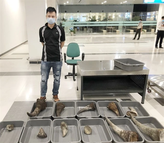 Nam thanh niên mang gần 29 kg nghi sừng tê giác từ Hàn Quốc về Việt Nam - 1