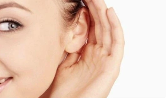 Tai đón gió cuộc sống nhiều khó khăn Tai đón gió cuộc sống nhiều khó khăn