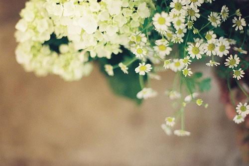 Có tiền xin đừng hà tiện, có hạnh phúc xin đừng chờ đợi, đã yêu xin đừng buông tay, thù hận đừng để bụng...