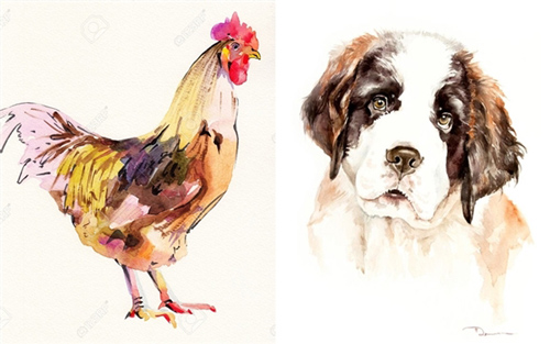 3 cặp đôi con giáp đại xung khắc, lấy nhau sẽ nghèo khổ cả đời