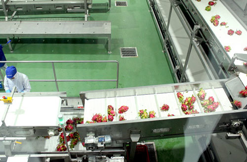 &#x27;S&#x1EE9;c &#x111;&#x1EC1; kh&#xE1;ng&#x27; c&#x1EE7;a doanh nghi&#x1EC7;p th&#x1EF1;c ph&#x1EA9;m