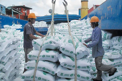 Xuất khẩu gạo có nhiều cơ hội mới (Ảnh: Internet)